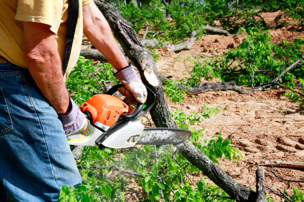 Lawn Grading and Leveling in Richton Park, IL